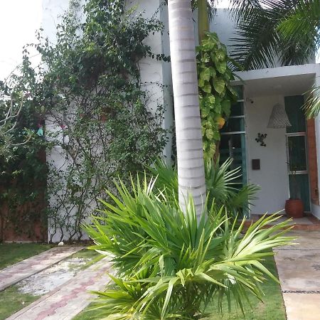Casa Rioja Playacar Acomodação com café da manhã Playa del Carmen Exterior foto